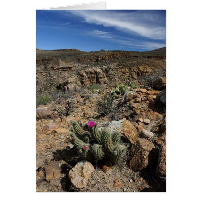Cartão Flor de Cactus (Frente)