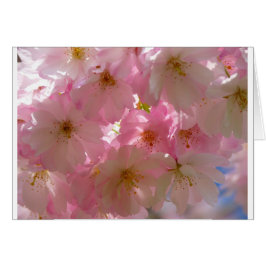 Cartão Flor de Cereja Japonês