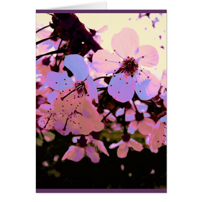 Cartão Flor de Cereja Rosa (Frente)