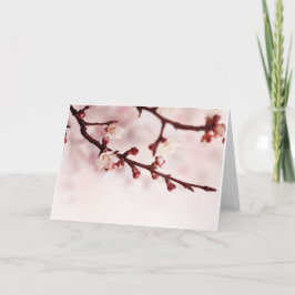 Cartão Flor de cerejeira