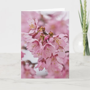 Cartão Flor de Cerejeira Sakura Rosa Pálido
