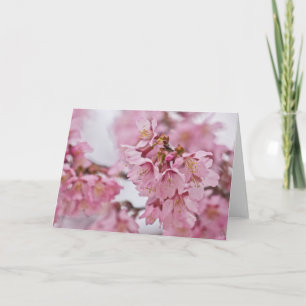 Cartão Flor de Cerejeira Sakura Rosa Pálido