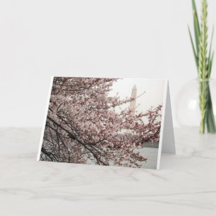 Cartão Flor de Cerejeira Washington DC