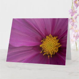 Cartão Flor de Cosmo