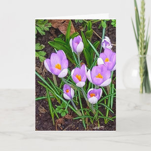 Cartão Flor de Crocus Feliz Páscoa