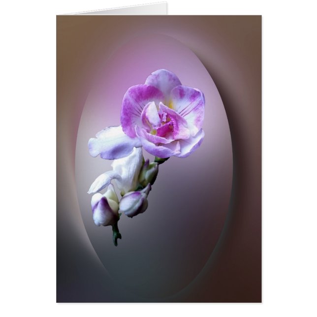 Cartão flor de freesia rosa (Frente)