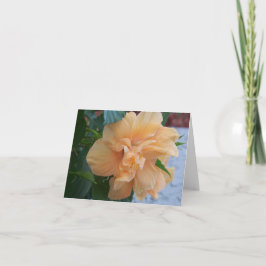 Cartão Flor de hibisco laranja numa placa de vazio