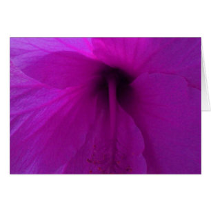 Cartão Flor de Hibisco Roxo