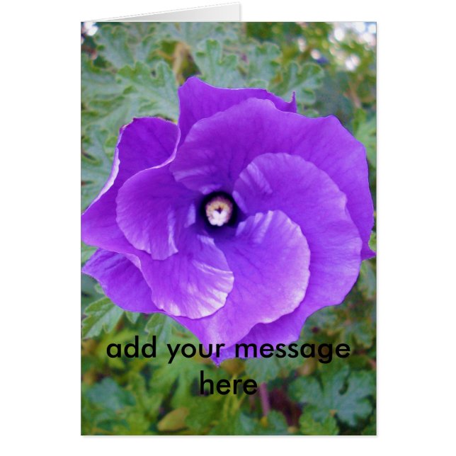 Cartão Flor De Hibisco Roxo Profundo, (Frente)