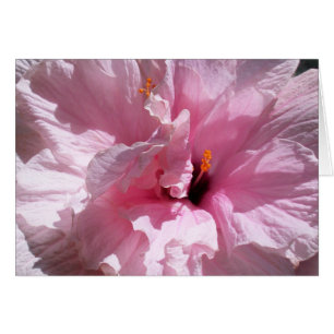 Cartão Flor de Hibiscus Rosa