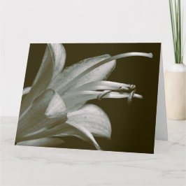 Cartão Flor de Hosta da Amizade, Sépala Vintage Elegante