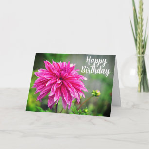 Cartão Flor de Jardim Dahlia Rosa Elegante