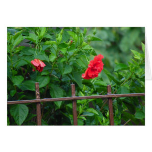 Cartão Flor de jardim de inclinação