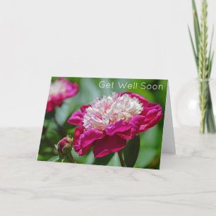 Cartão Flor De Jardim De Pedônia De Algodão Rosa Fica Bem