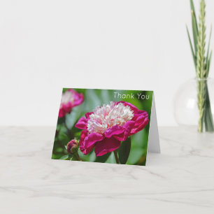 Cartão Flor De Jardim De Pedônia De Algodão Rosa Obrigado