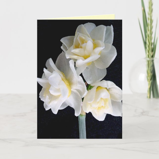 Cartão Flor de Jonquil - 3:1 de Ecclesiastes (Frente)