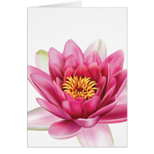 Cartão Flor de Lotus