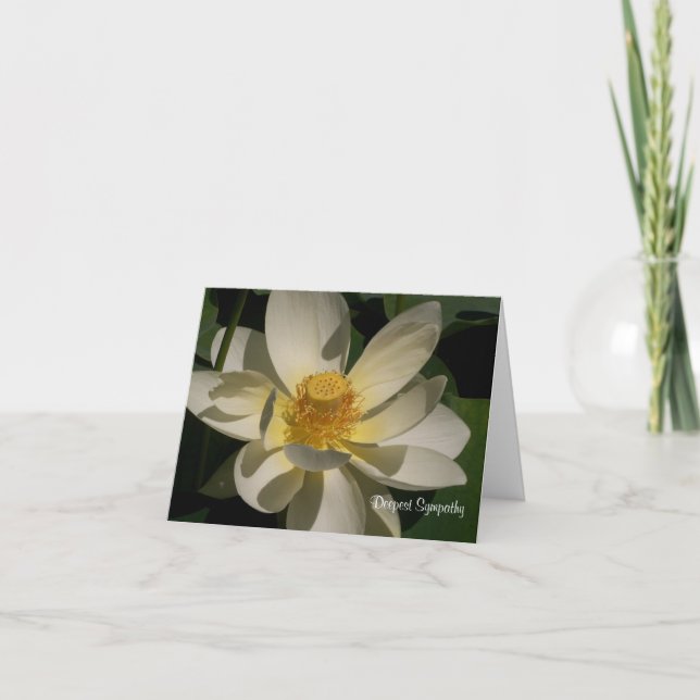 Cartão Flor de Lotus, a simpatia a mais profunda (Frente)