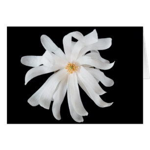 Cartão Flor de Magnólia em Preto