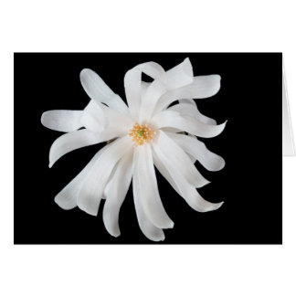 Cartão Flor de Magnólia em Preto
