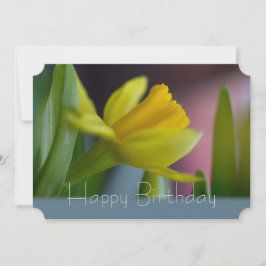 Cartão Flor de narciso amarela CC0744 Parabéns