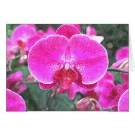 Cartão Flor de orquídea rosa, fotografia floral