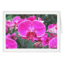 Cartão Flor de orquídea rosa, fotografia floral