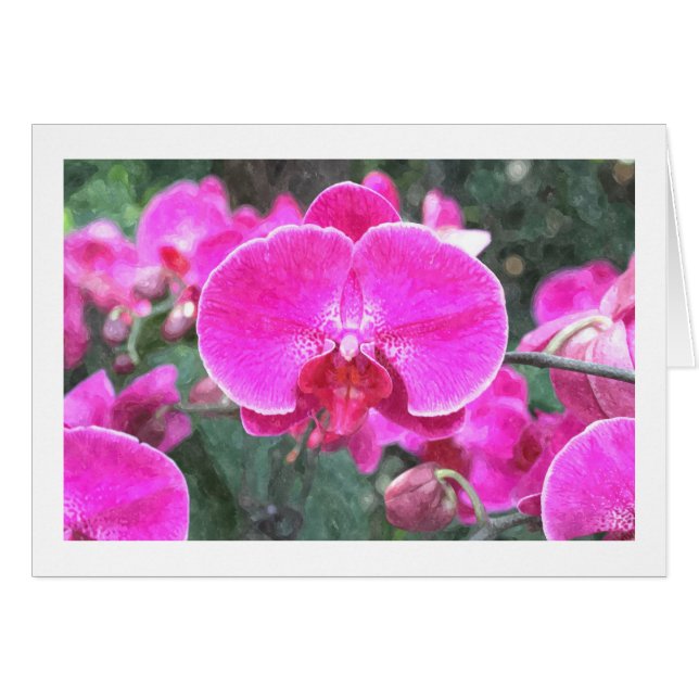 Cartão Flor de orquídea rosa, fotografia floral (Frente Horizontal)