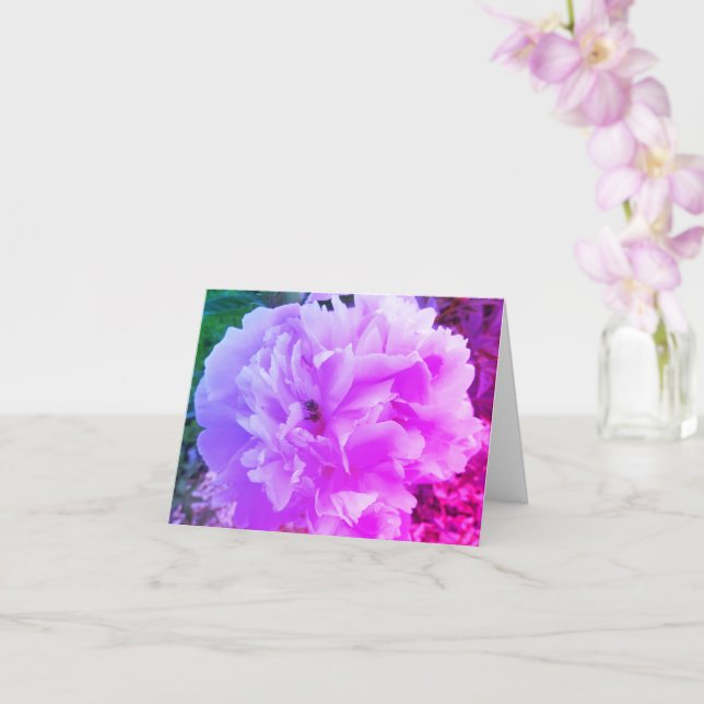 Cartão Flor de Peônia com uma Abelha Melífera (Orquídea)