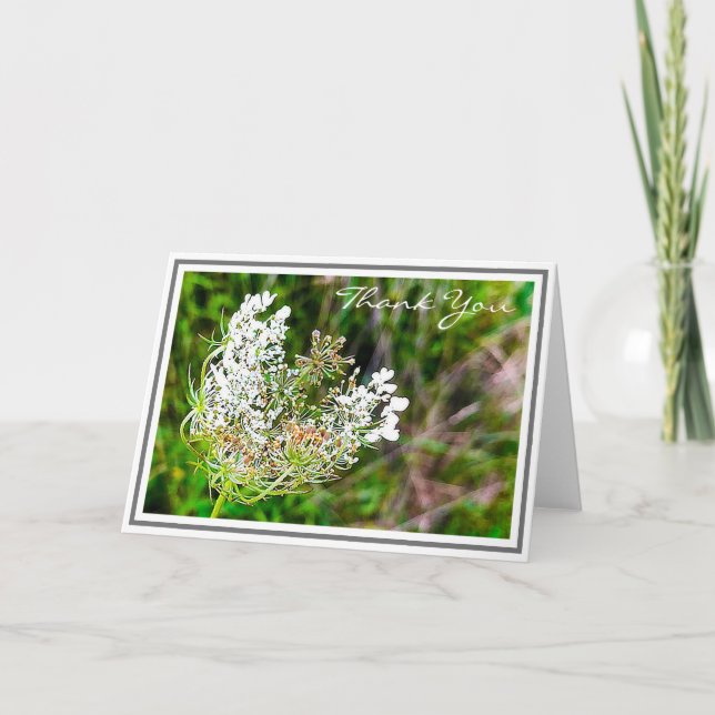 Cartão Flor de rendas da Rainha Branca no Campo Verde (Frente)