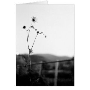 Cartão Flor de solo