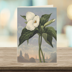 Cartão Flor de Trílio Branco Estilo Templo de Flora em Br
