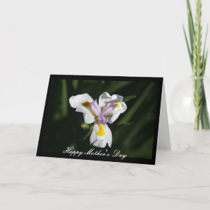 Cartão flor delicada da mãe