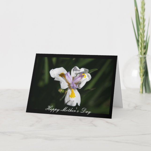 Cartão flor delicada da mãe (Frente)