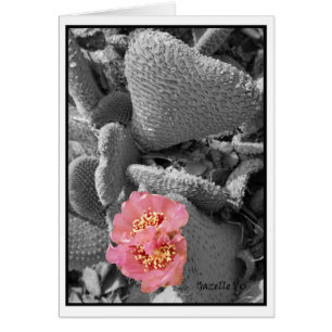 Cartão Flor do cacto