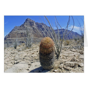 Cartão Flor do Grand Canyon