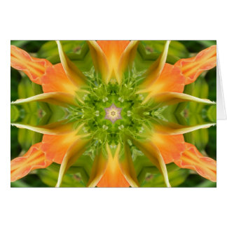 Cartão Flor do Mandala da Paz