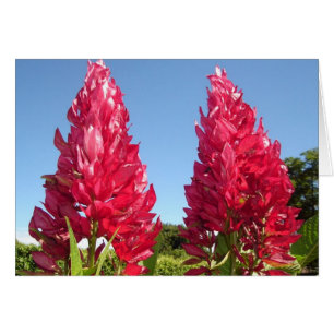 Cartão Flor Duplo Flame v2