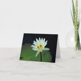 Cartão Flor-e-Abelhas