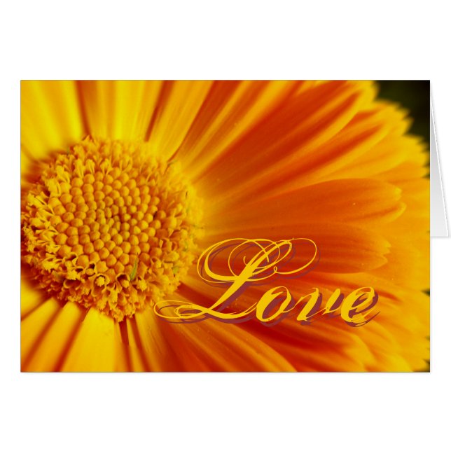 Cartão Flor FrescoLove (Frente Horizontal)