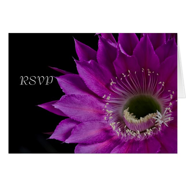 Cartão Flor Fuchsia Cactus RSVP (Frente horizontal)