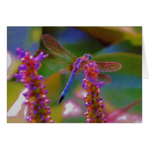 Cartão Flor fuchsia e mosca dragão