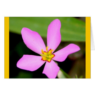 Cartão Flor Funky cor-de-rosa