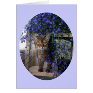 Cartão Flor Gato (oval)