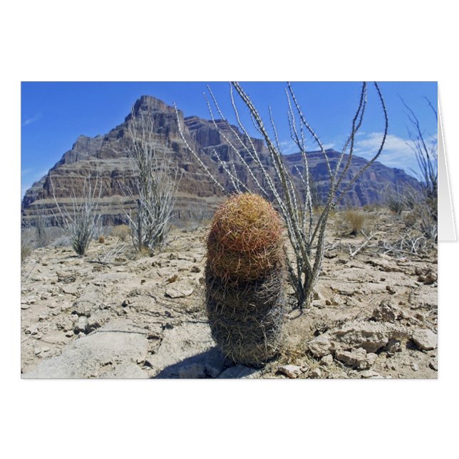 Cartão Flor Grand Canyon (Frente Horizontal)