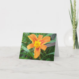 Cartão Flor Laranja