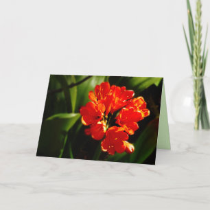 Cartão Flor Laranja Vibrante, Floral, Saudação de Vazio
