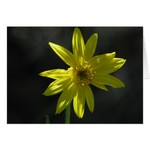 Cartão Flor minúscula