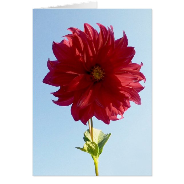 Cartão Flor no céu (Frente)