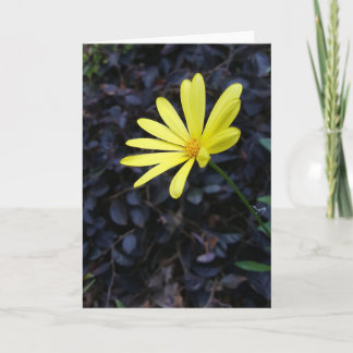 Cartão Flor no festival Notecards (vazio para dentro)